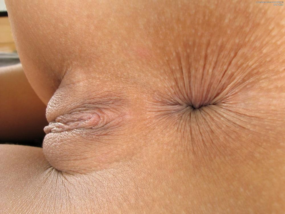 23P Close up assholes
