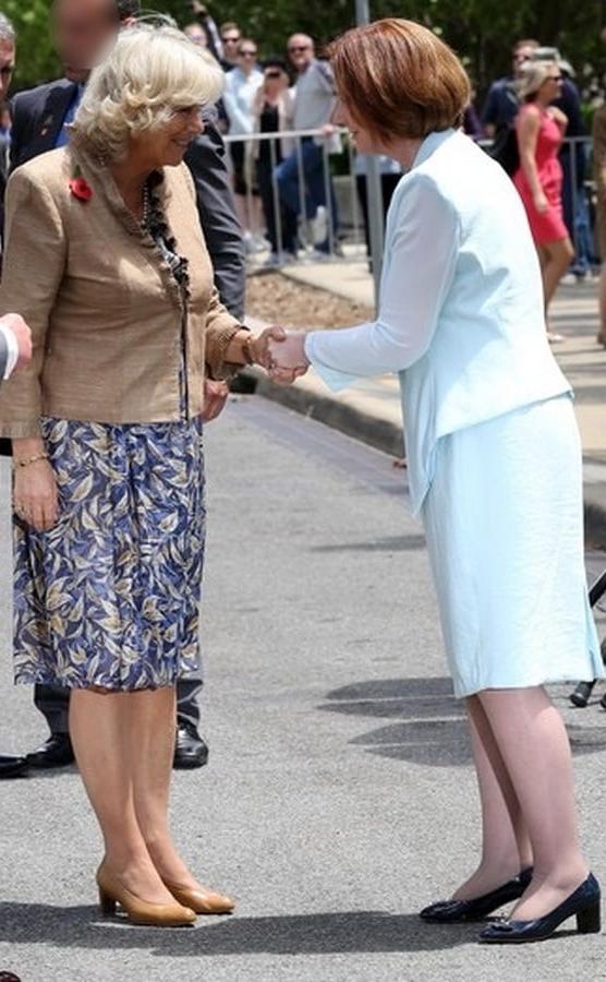 25P Royal Granny Pantyhose - Camilla Duchess of Cornwall