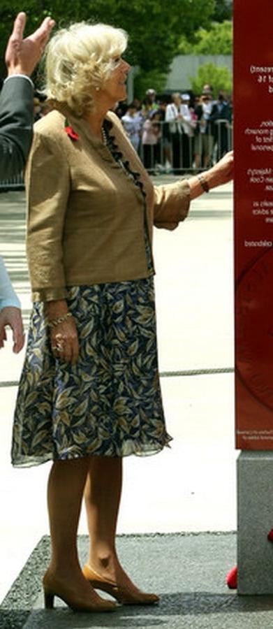 25P Royal Granny Pantyhose - Camilla Duchess of Cornwall