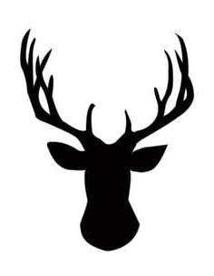 25P Our new lifestyle Stag &amp; Vixen