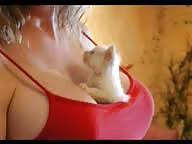 5P Ein interessantes versteck der Katzen