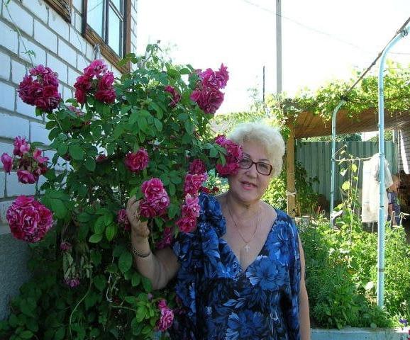 20P Beautiful blonde non-nude Russian granny