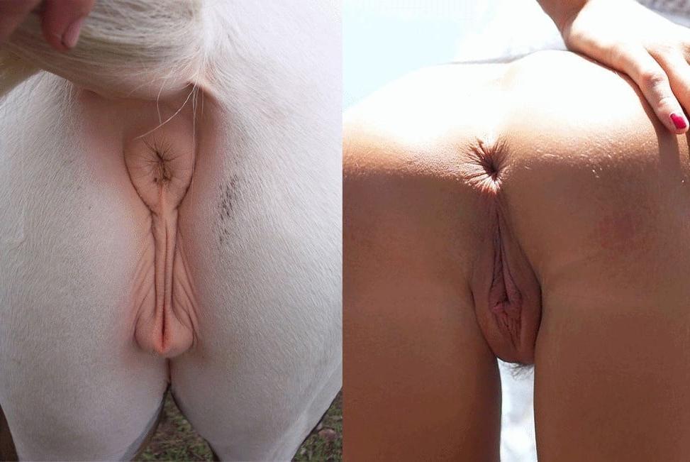 25P Voluptuous Vivacious Vagina #16