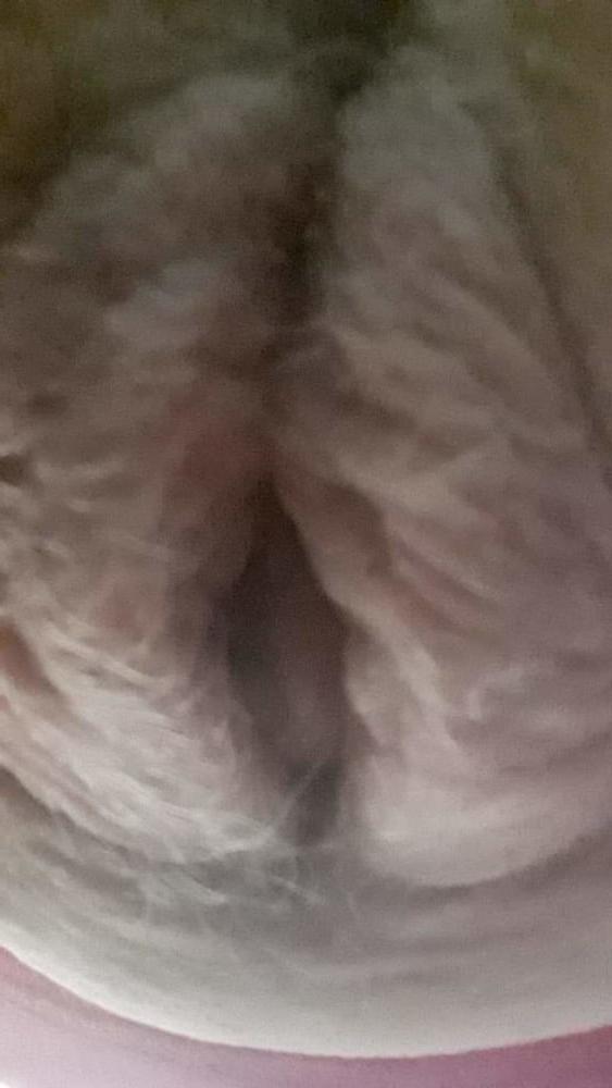 6P A horny granny
