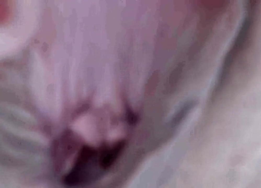 25P open Vagina 5