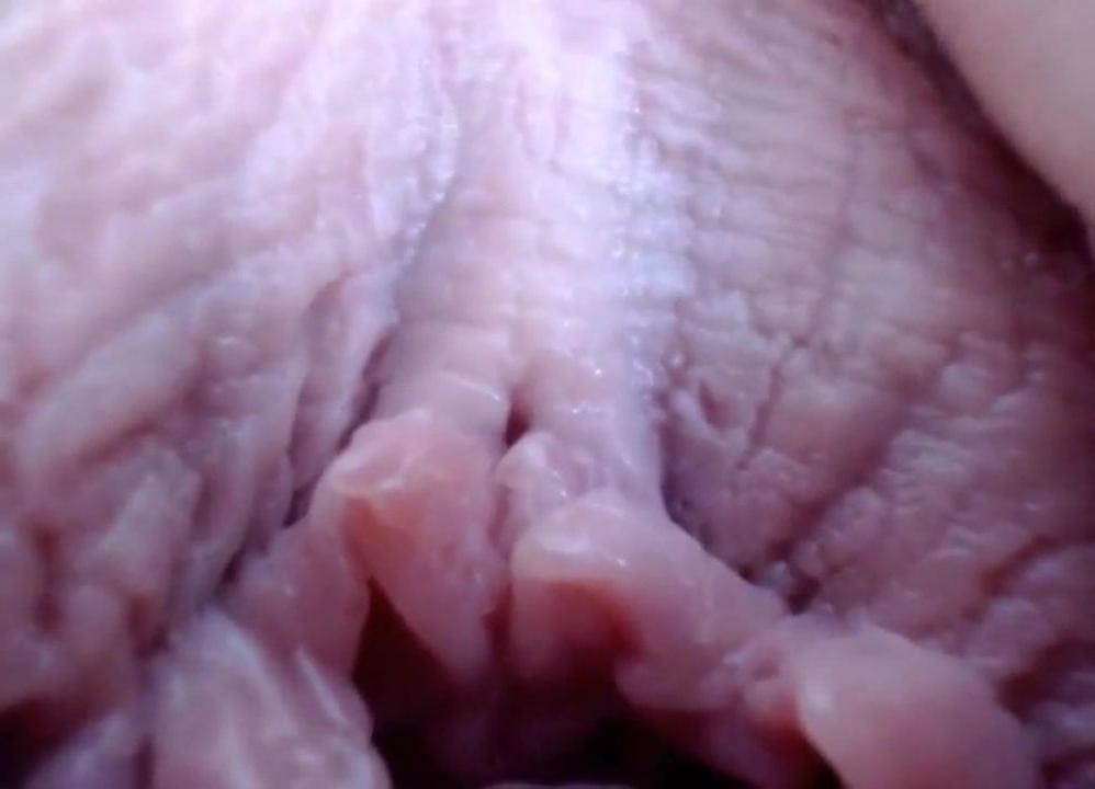 25P open Vagina 5