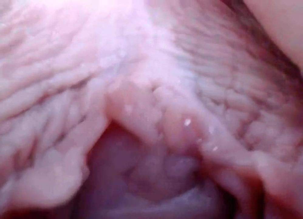 25P open Vagina 5
