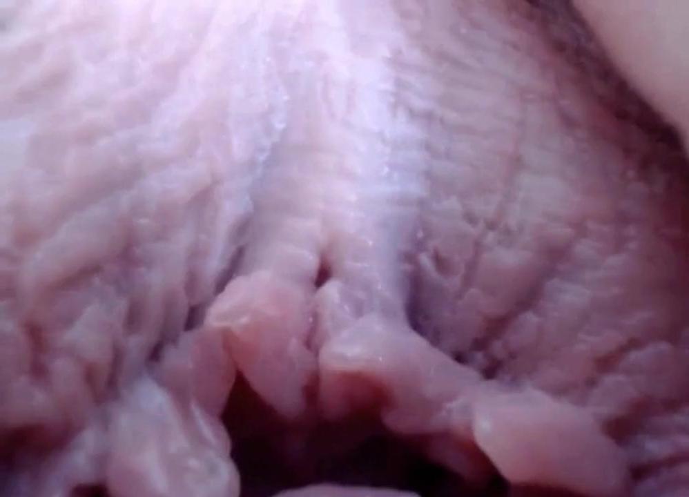 25P open Vagina 5