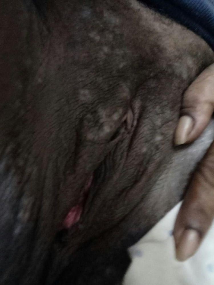 25P Png 2k20  milfs exposed