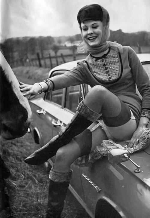 25P Vintage Stockings 50