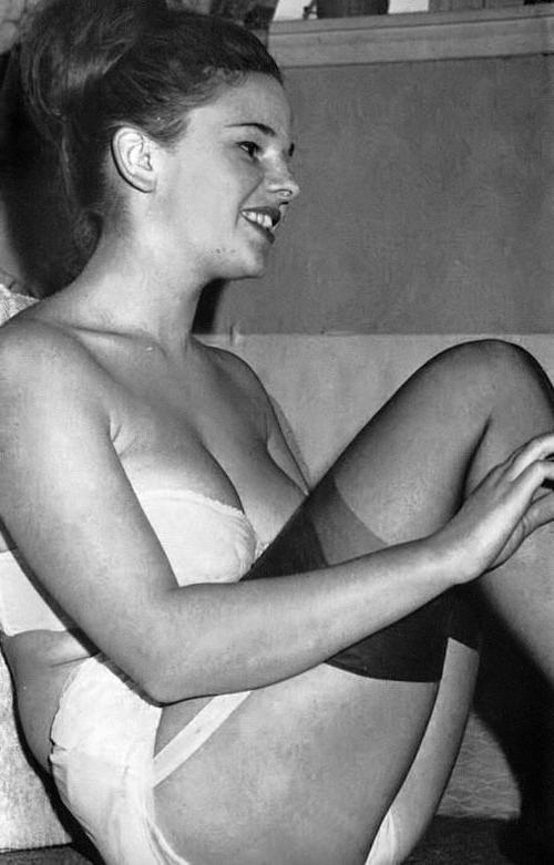 25P Vintage Stockings 56