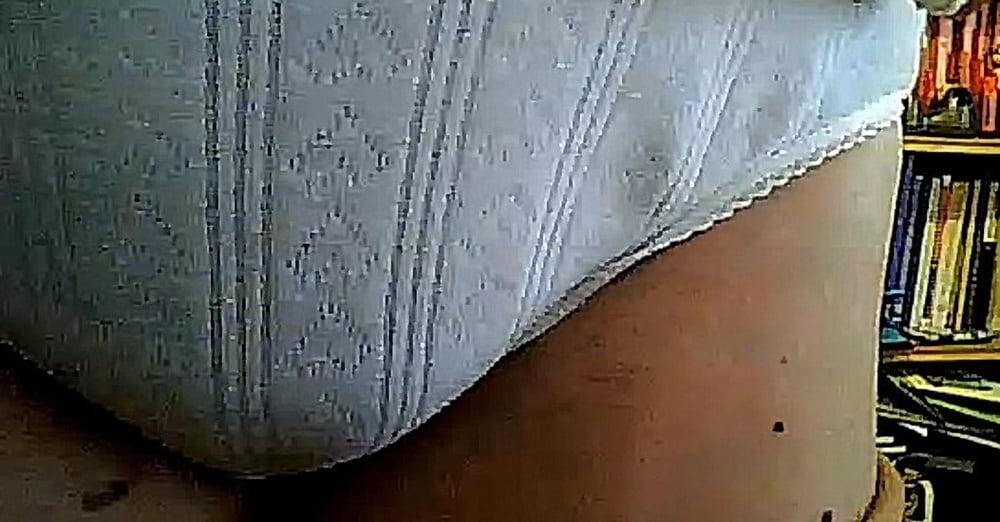 25P granny panties