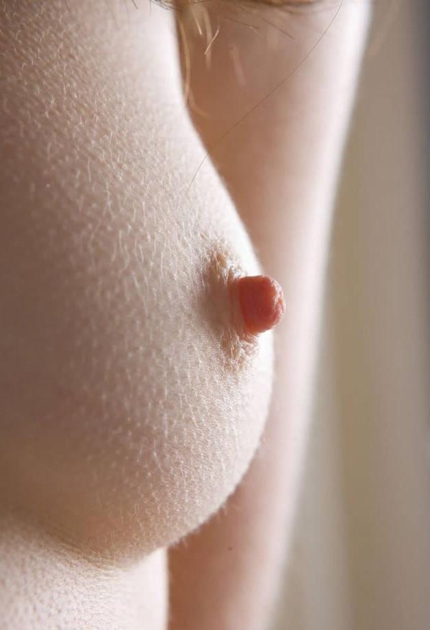 11P nipples 1