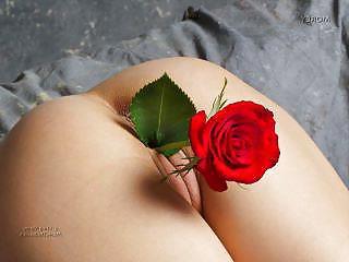 10P Raja manzoor bismil dalmia wwermb sex balochi sexy movies