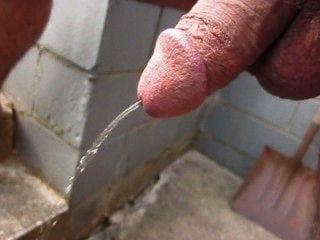 18P Cocks Pissing 2