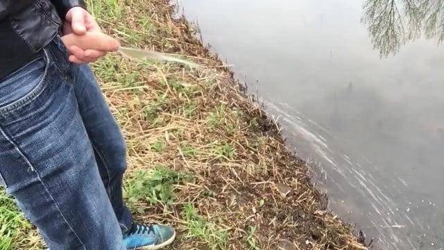 18P Cocks Pissing 2
