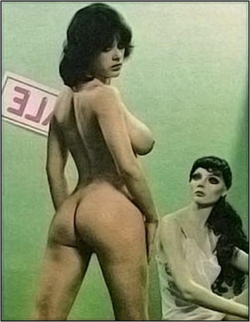 25P ViNTAGE REAR ViEWS #119 - MKX