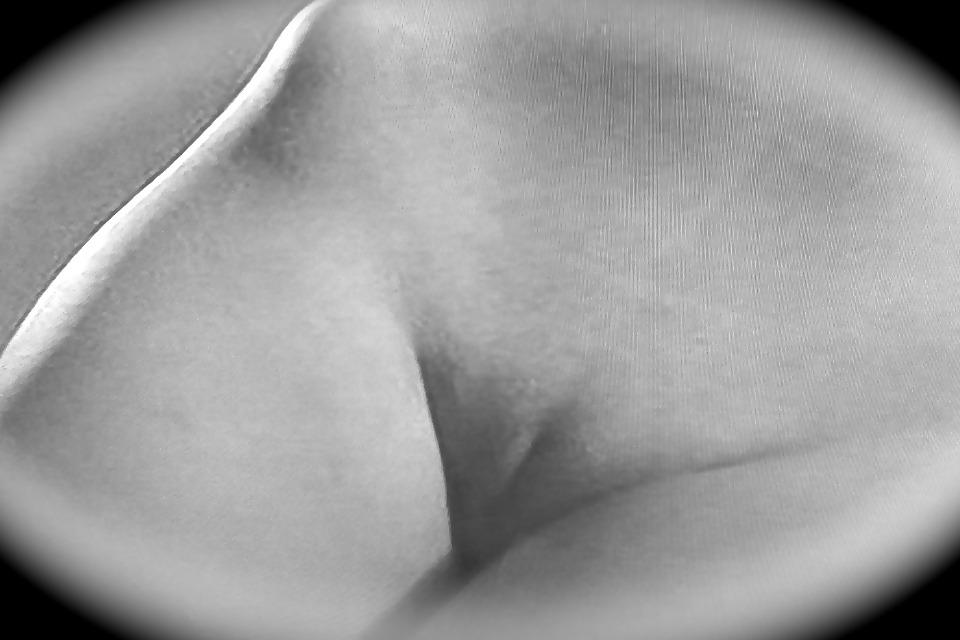 19P Web voyeur