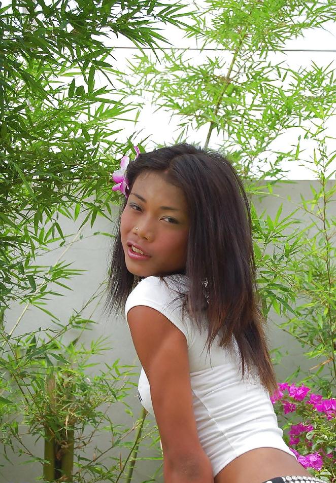 12P LADYBOY - Tee Tee