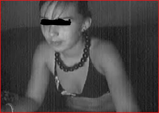 25P Erfassen Sie Webcams
