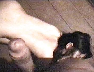 25P Submissive Whore