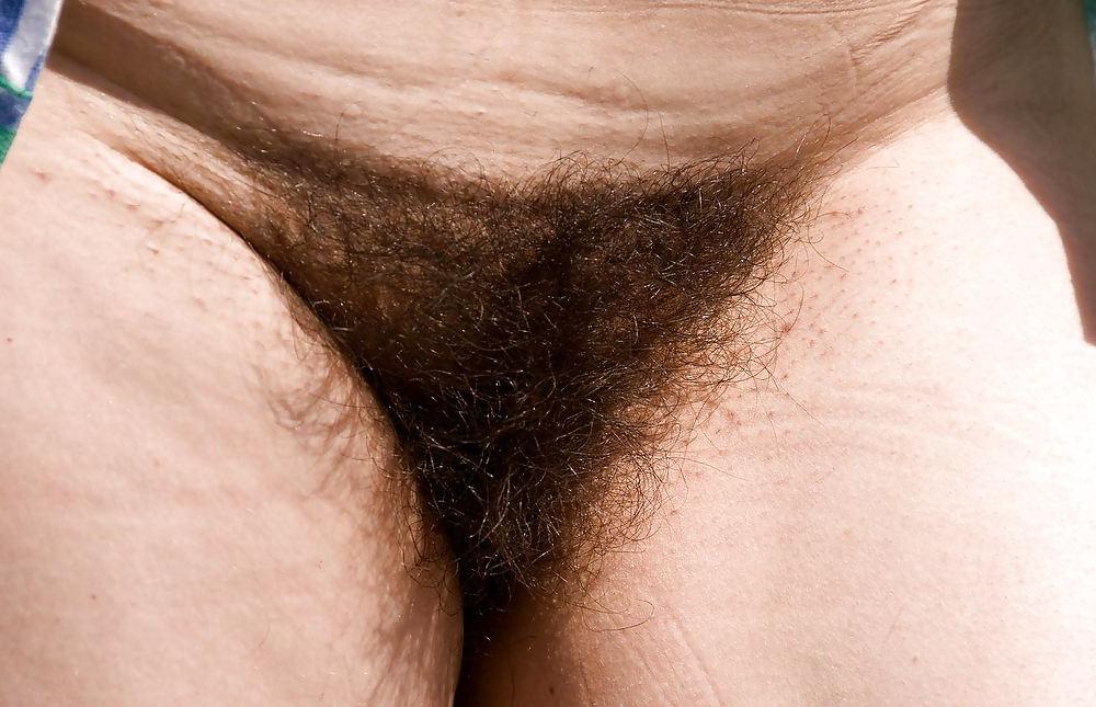 13P Hairy Mature 2 - Jotha Hele