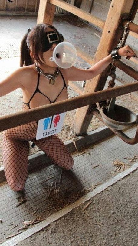15P Amateur Women BDSM 64