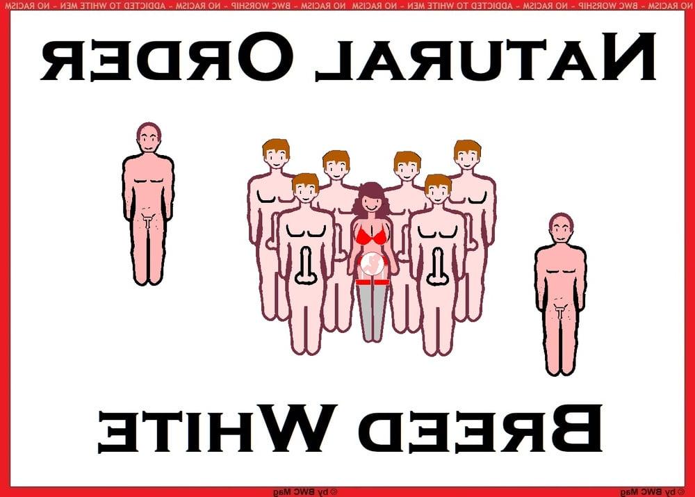 6P BWC Mag  Facts About Natural Asian Order