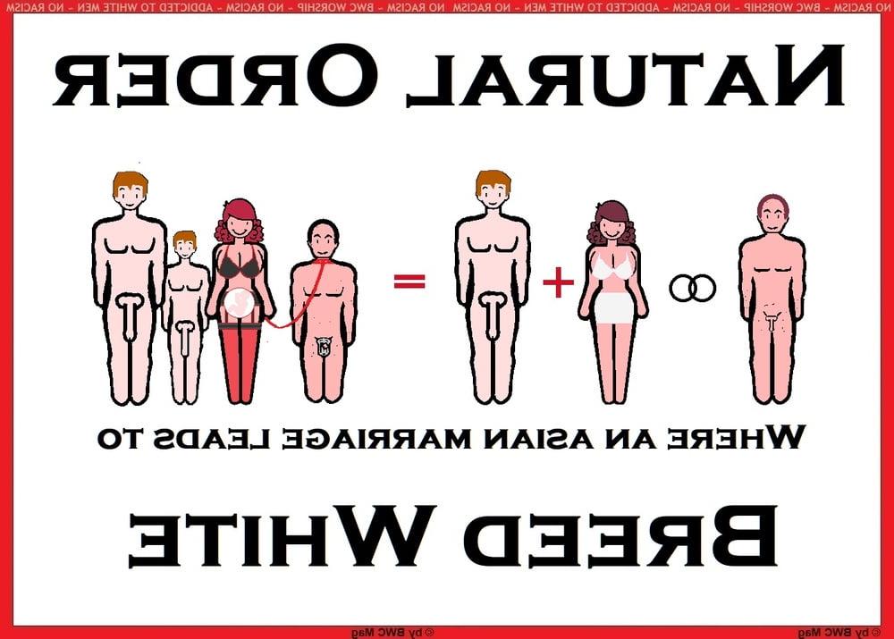 6P BWC Mag  Facts About Natural Asian Order