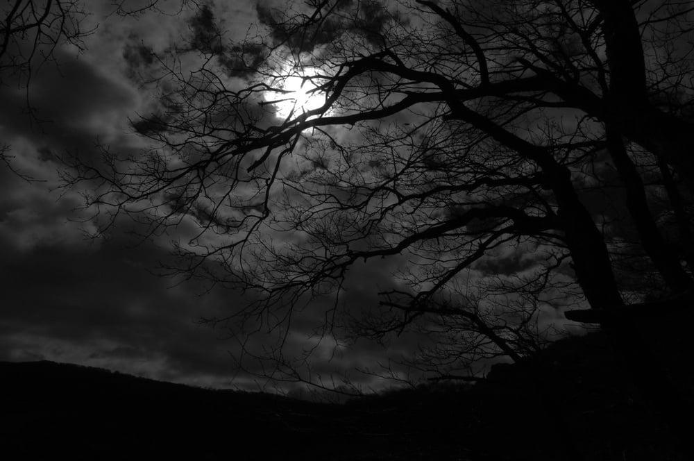 25P Black and White