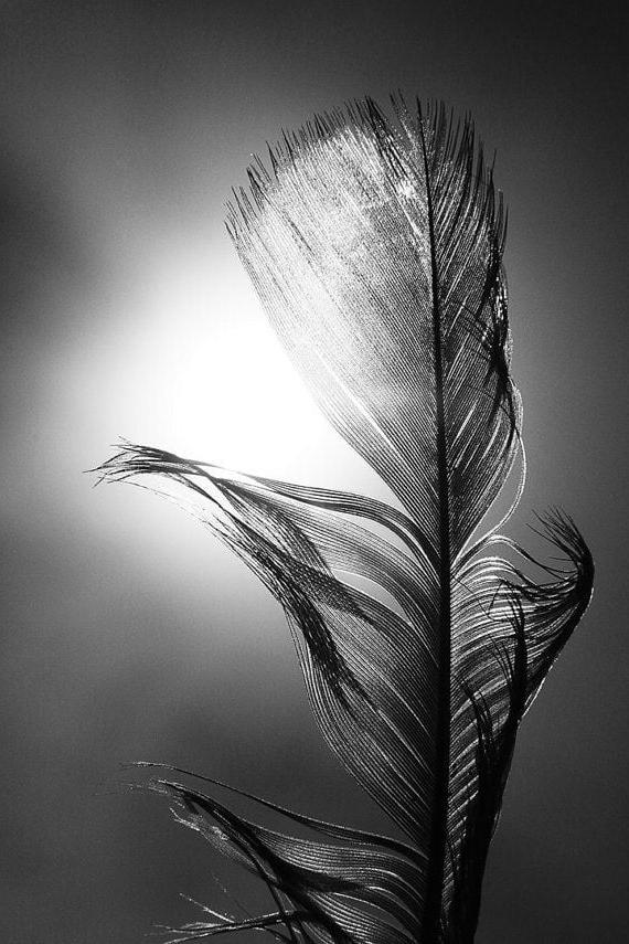 25P Black and White