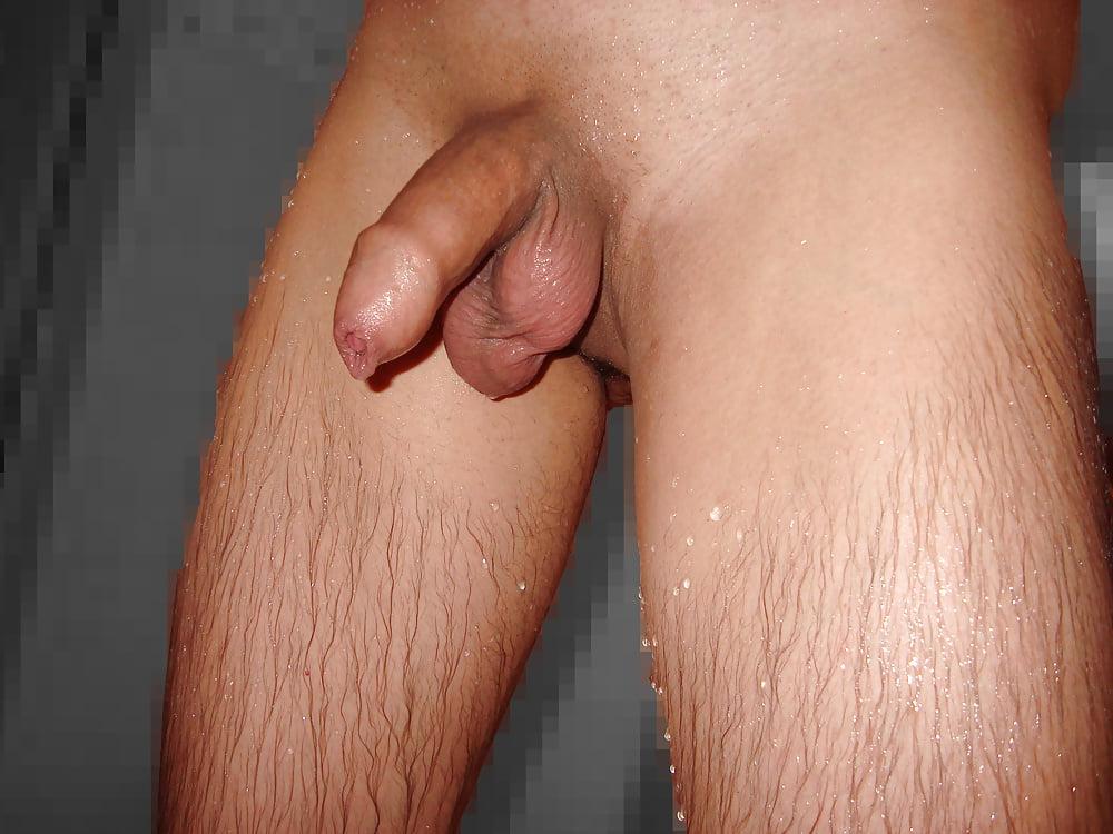 25P Bulgarian Cock and Body