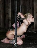 25P BDSM smorgasboard