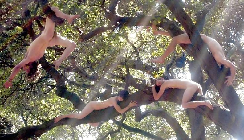 25P Nudist teens