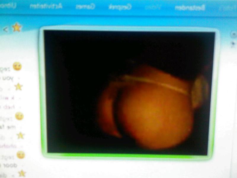23P Webcam