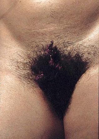 9P Hairy  Brunette