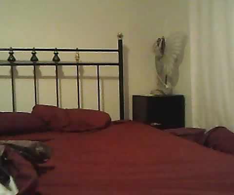 16P My webcam pics 2