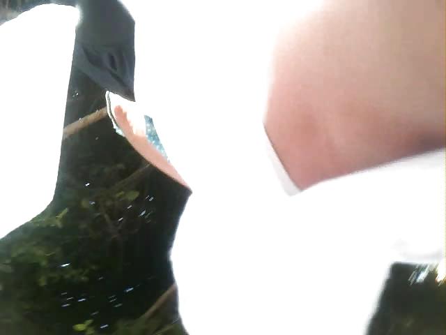 10P Arret de bus
