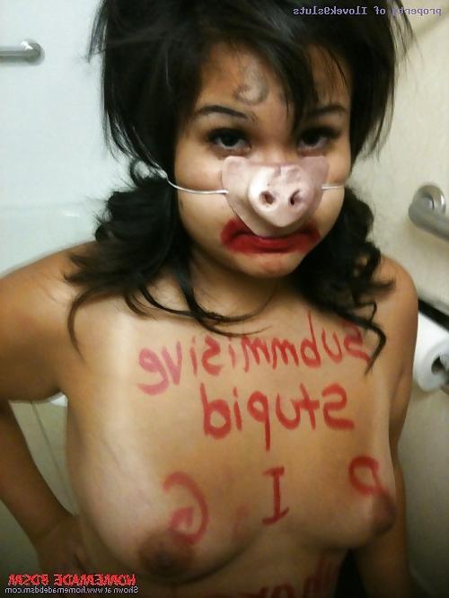 19P BDSM 02 fat pigs