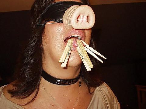 19P BDSM 02 fat pigs