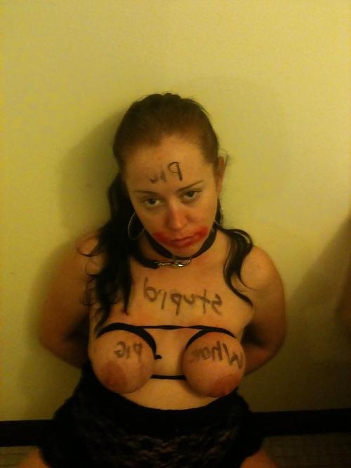 19P BDSM 02 fat pigs