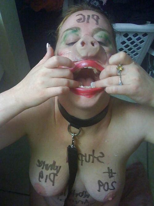 19P BDSM 02 fat pigs