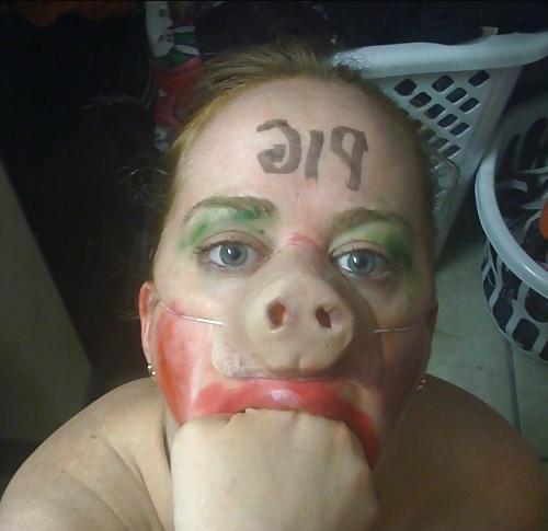 19P BDSM 02 fat pigs