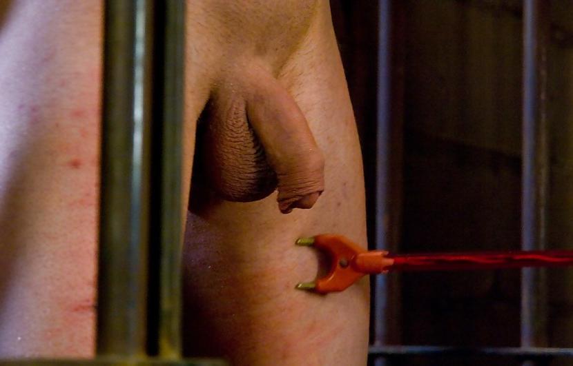 25P Femdom & CBT