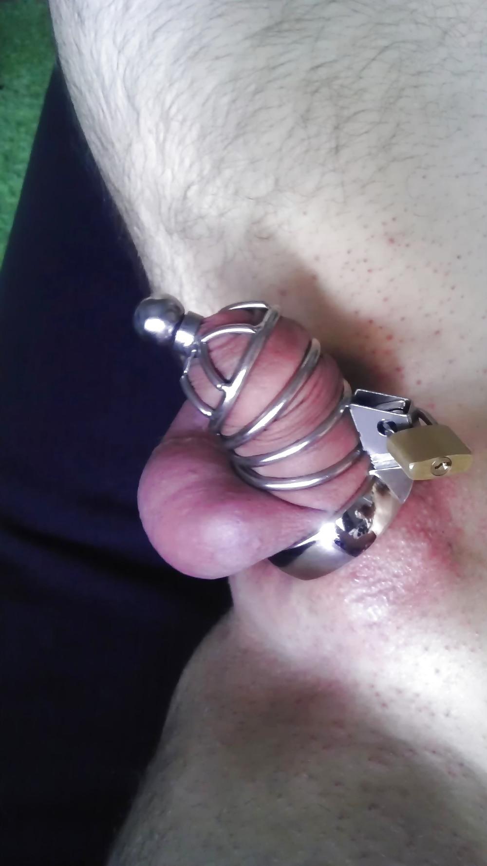 25P Cuckols Men In Chastity Cock Cages