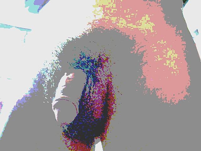 11P WebCam-Fotos von mir!