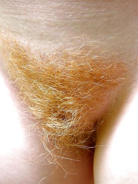 12P Hairy Red Pussy