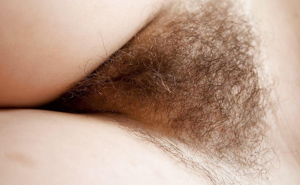 25P Very hairy pussy girls
