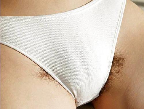 25P Very hairy pussy girls