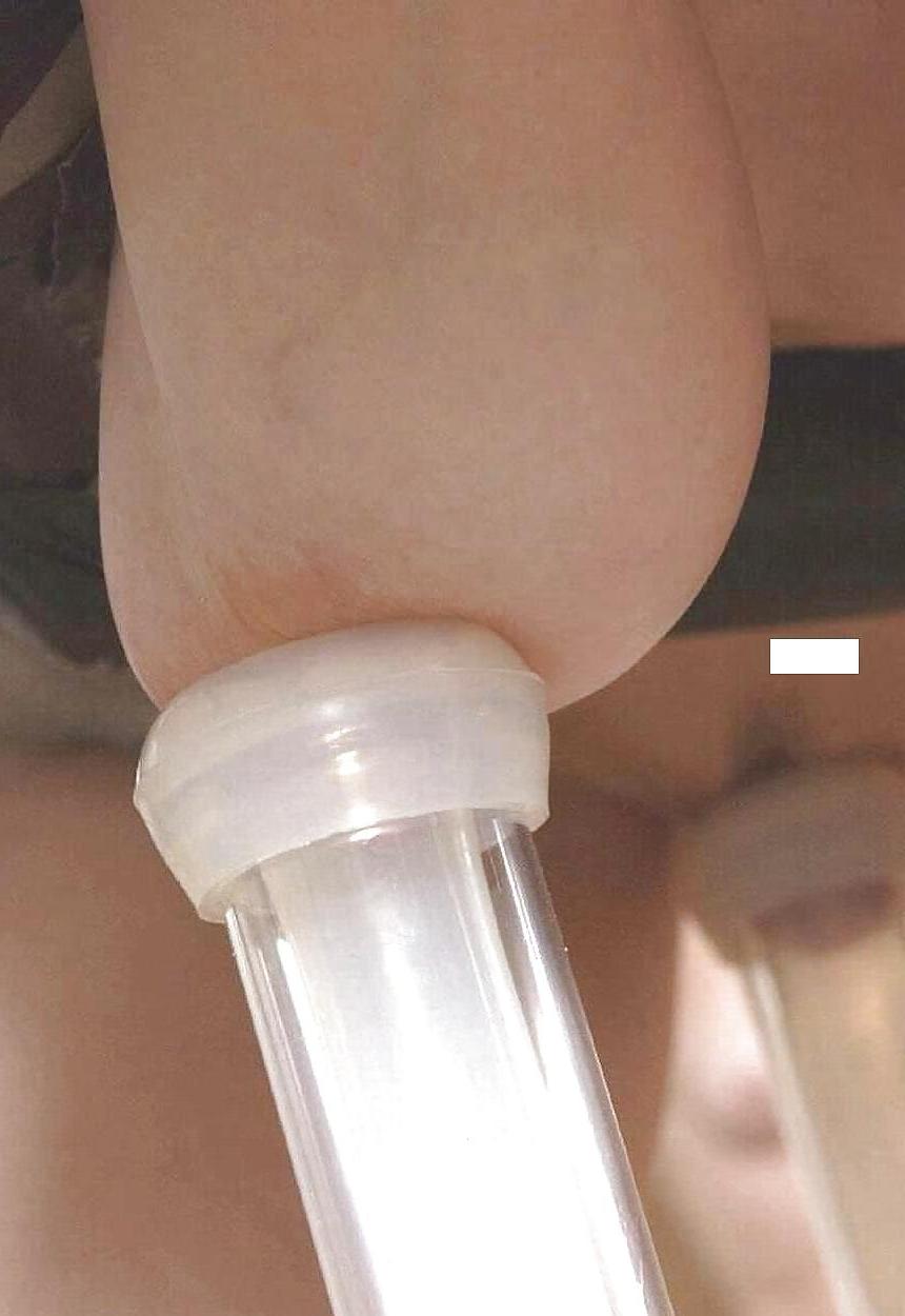 25P Milking tits